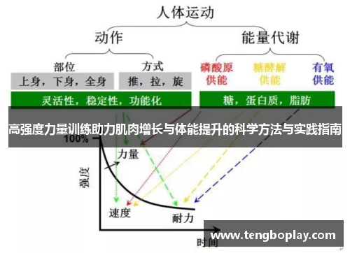 高强度力量训练助力肌肉增长与体能提升的科学方法与实践指南