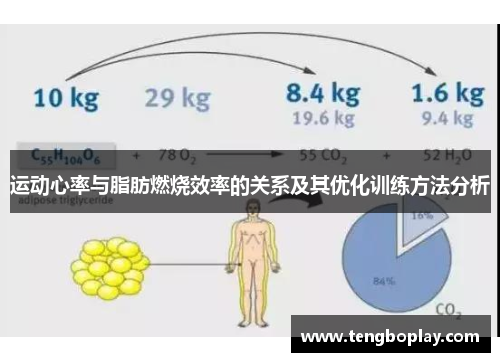 运动心率与脂肪燃烧效率的关系及其优化训练方法分析