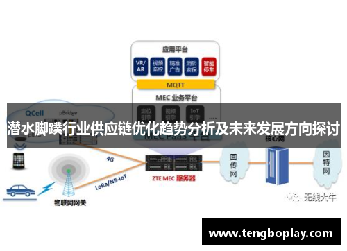 潜水脚蹼行业供应链优化趋势分析及未来发展方向探讨