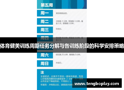 体育健美训练周期任务分解与各训练阶段的科学安排策略